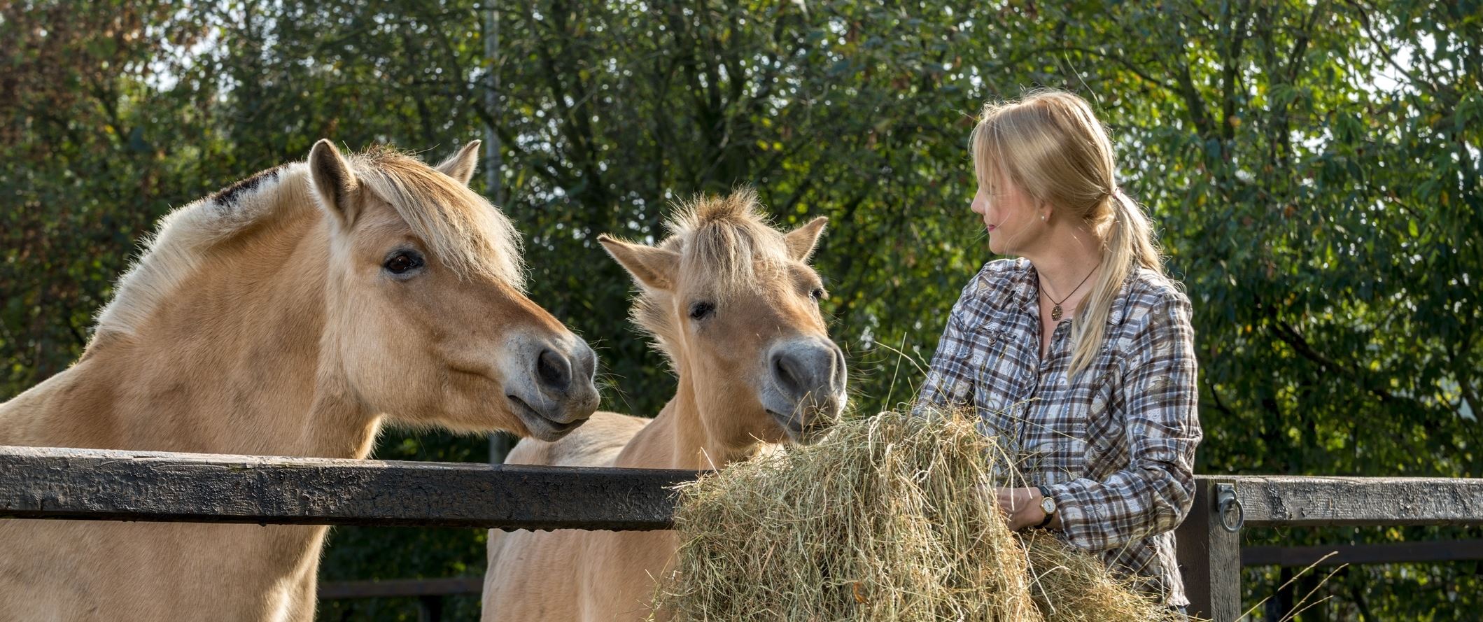 Foder til heste forhandles til kunder i Haslev og Faxe